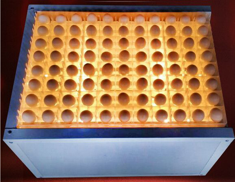 88 chicken egg tester table Egg candler for testing eggs in incubation process