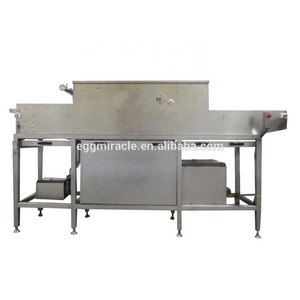 Industrial chicken egg washing cleaning machine price