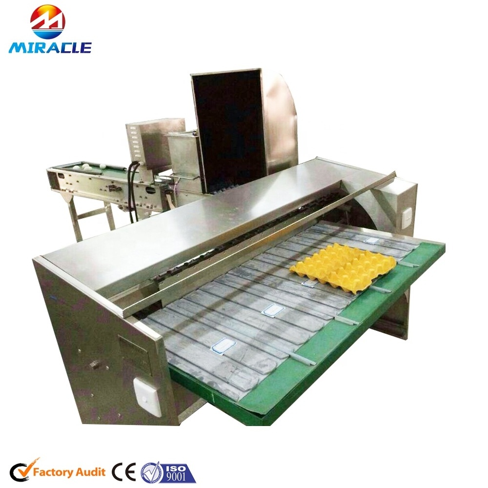 Auto Egg Grading Process Plant with Chicken Egg Washer