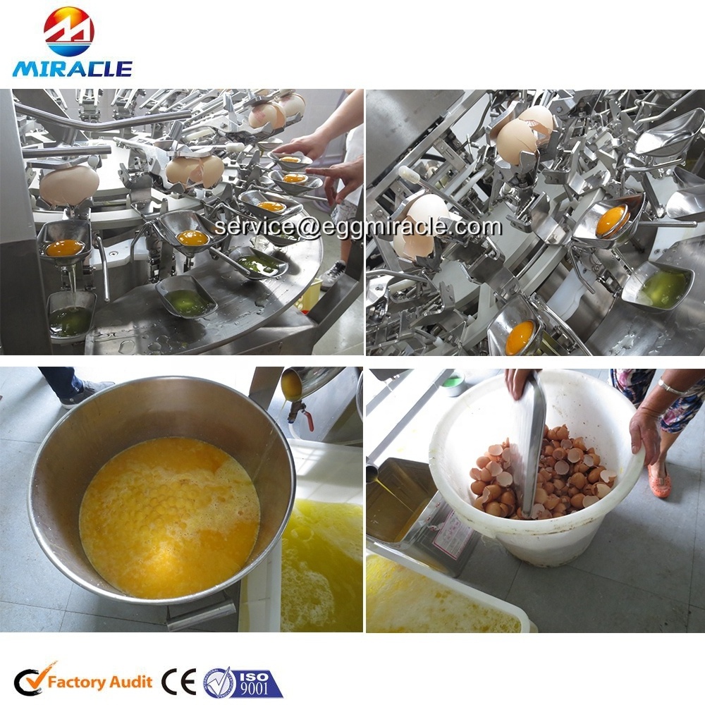 Electric Automatic Fresh Chicken Egg Cracker Egg Breaking And White Separator Machine On Sale