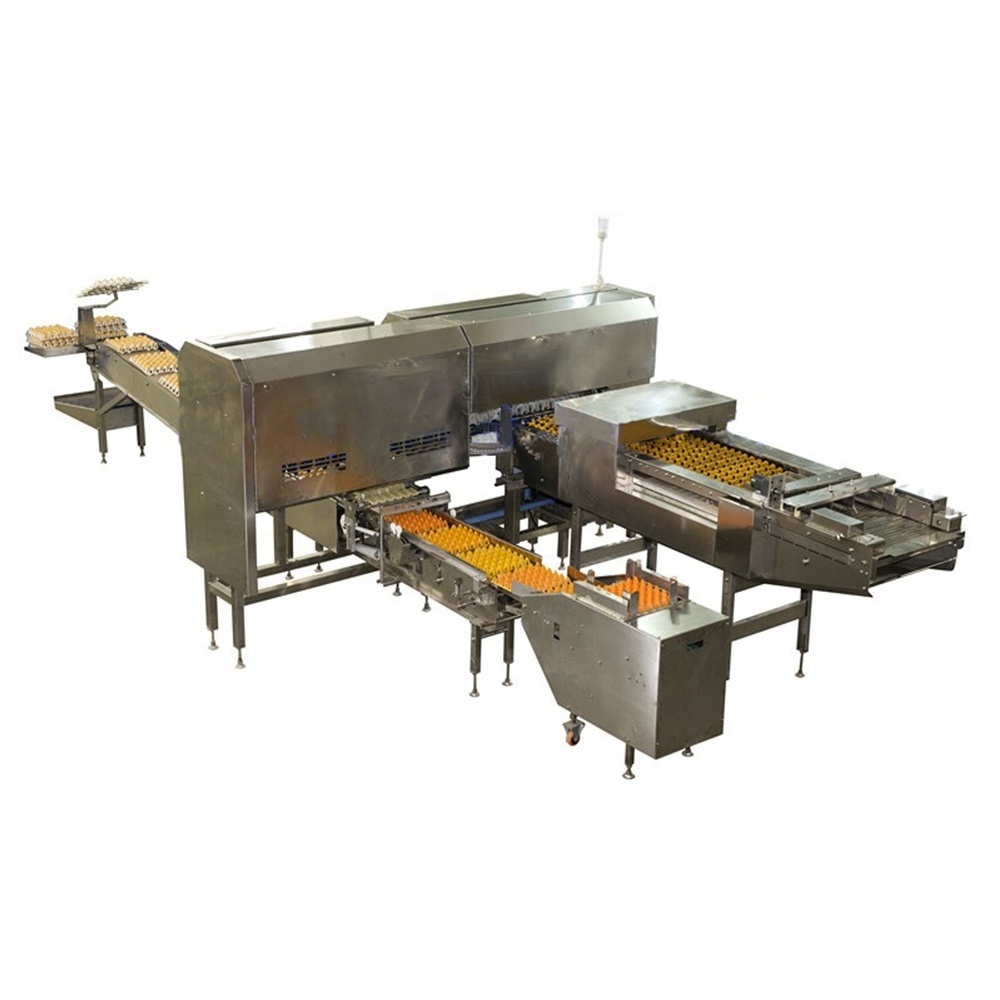 High efficient farm chicken egg packing machine farm packer