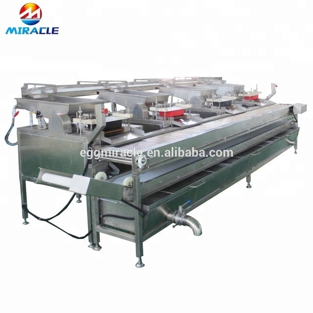 Manufacturer supply low price quail eggs cooking equipment/quail eggs peeling production line