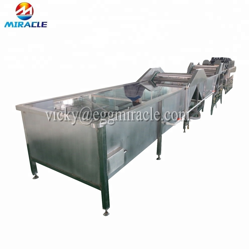 Manufacturer supply low price quail eggs cooking equipment/quail eggs peeling production line