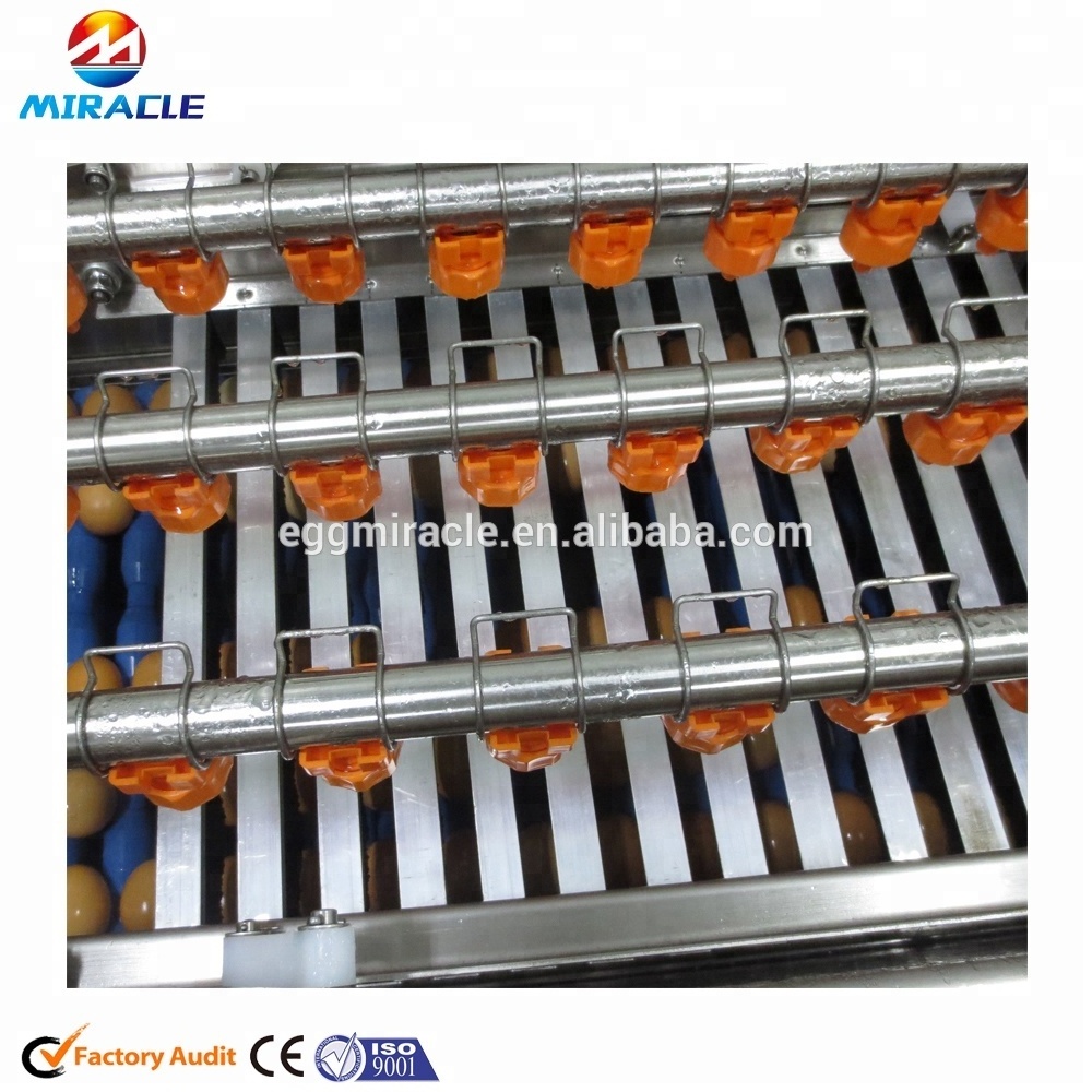 Industrial chicken egg washing cleaning machine price