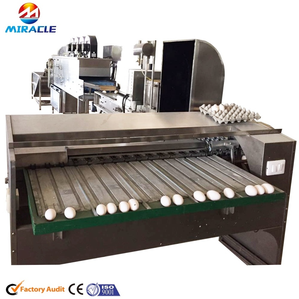 Auto Egg Grading Process Plant with Chicken Egg Washer