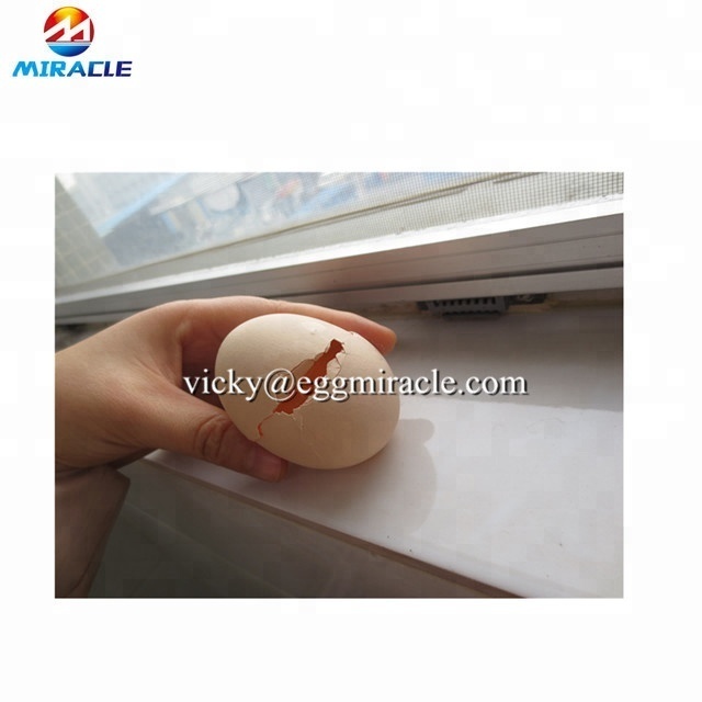 High Efficiency Fresh Egg Breaking Machine, egg liquid separator, egg breaker