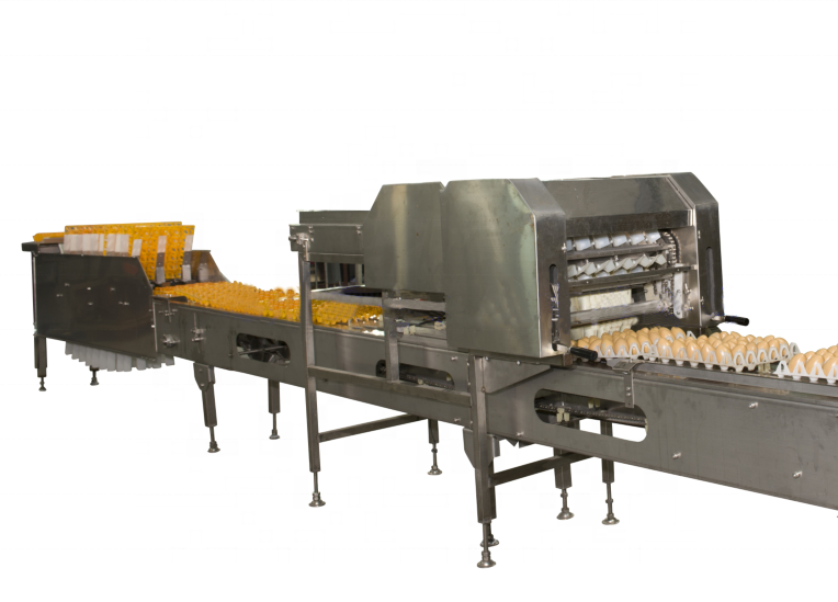 High efficient farm chicken egg packing machine farm packer