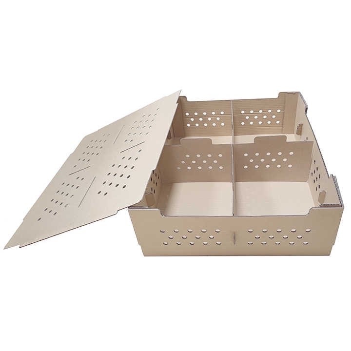 Custom25  50 100pcs live baby chick birds box pigeon carrier shipping box