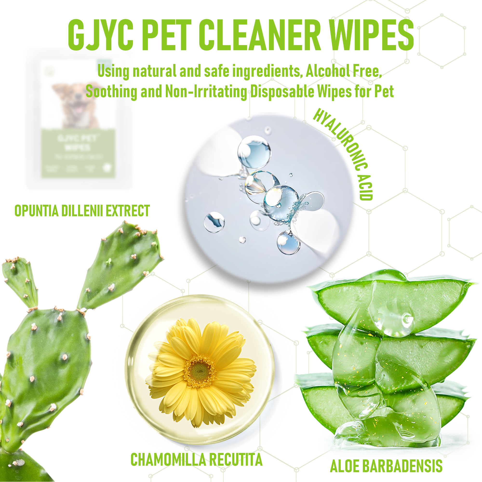 Wholesale Gloves Wipes For Dogs Grooming Odorless Non Toxic Organic Pet Glove Wipes