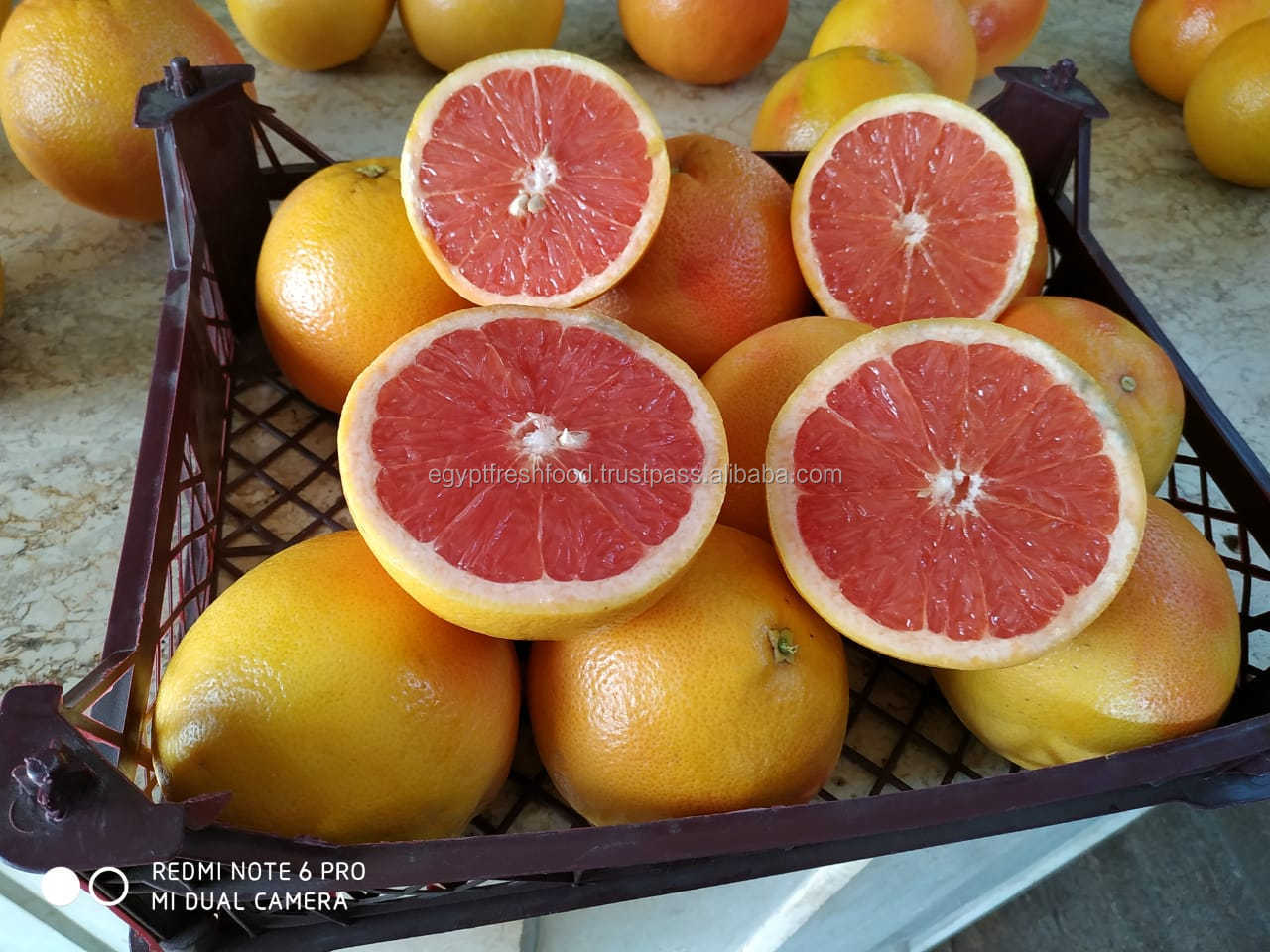 Fresh Navel , Valencia orange from Egypt , fresh crop for season 2021 , All citrus , best price