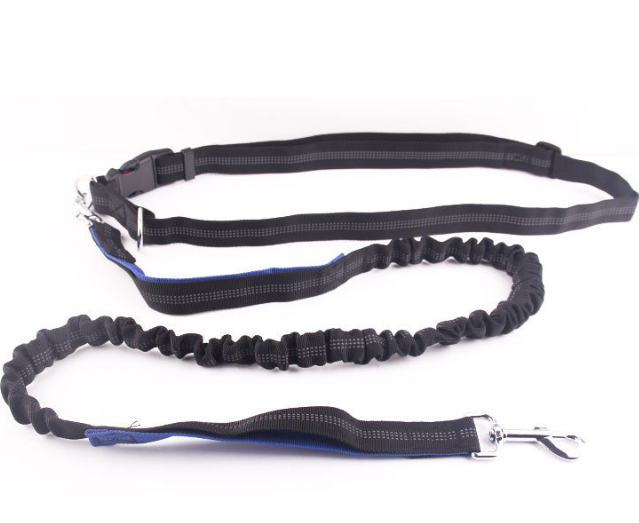 Pet Dog Cat Soft Leash Belt Chain Portable Reflective Running Double Retractable Dog Leashes Night Running Dog Supplies