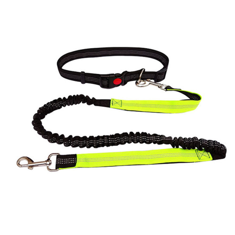 Pet Dog Cat Soft Leash Belt Chain Portable Reflective Running Double Retractable Dog Leashes Night Running Dog Supplies