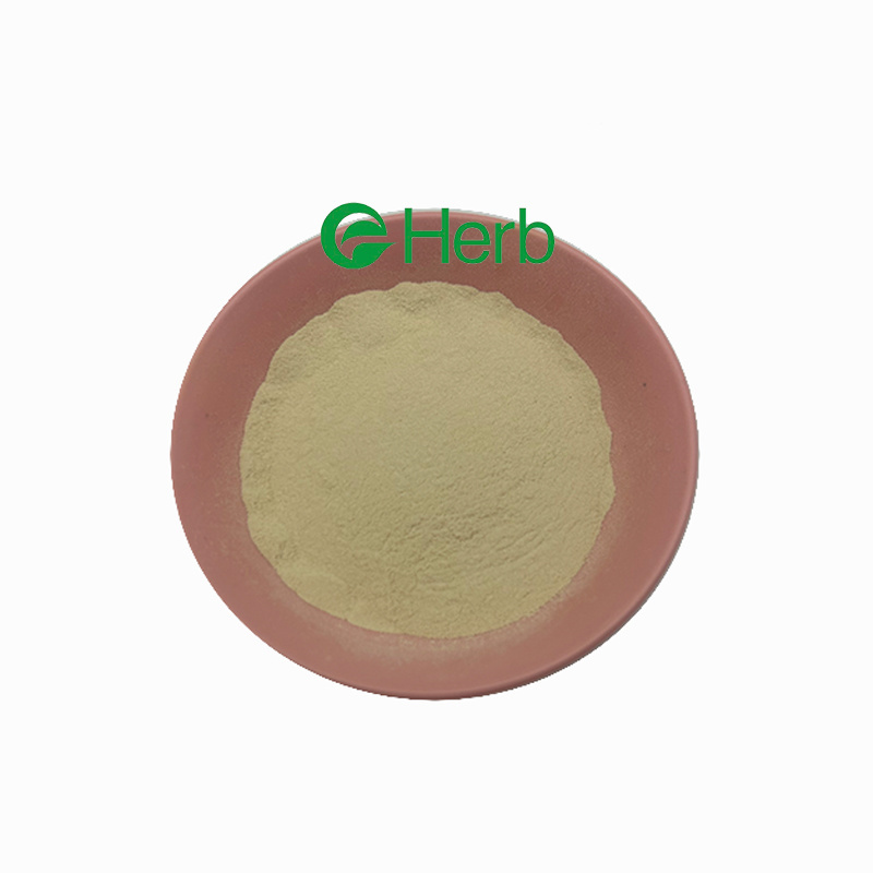 Eherb Supply Food Grade Beta-Glucan Yeast Extract 70% 80% 90% Yeast Beta Glucan Powder