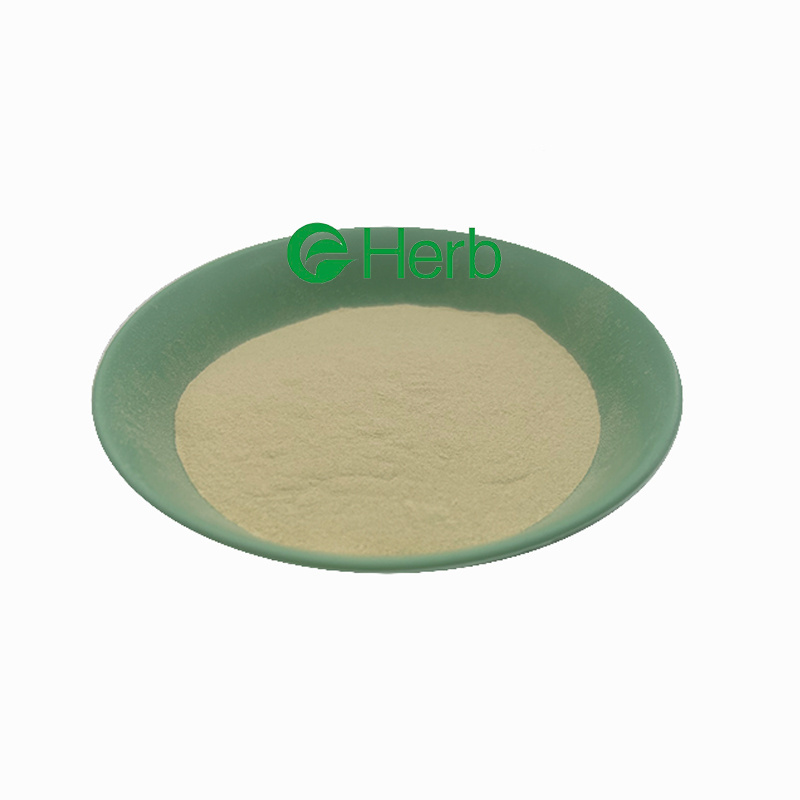 Eherb Supply Food Grade Beta-Glucan Yeast Extract 70% 80% 90% Yeast Beta Glucan Powder