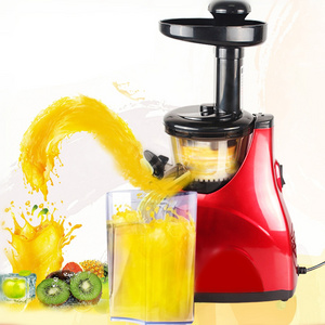 2023 Low Speed Cold Press Fruit and Vegetable Juice Slow Masticating Juicer Extractor DC Motor OEM Stainless Steel 150W 65 VDE