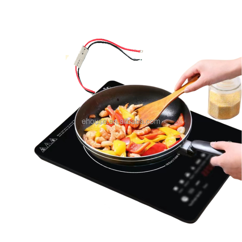 2024 Solar induction cooker 12 V and 24 V with power supply storage battery