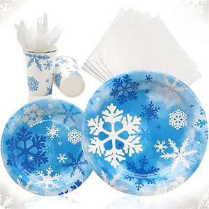 Winter Wonderland Princess Onederland Plates Cups Napkins frozen birthday party supplies Snowflake Decorations