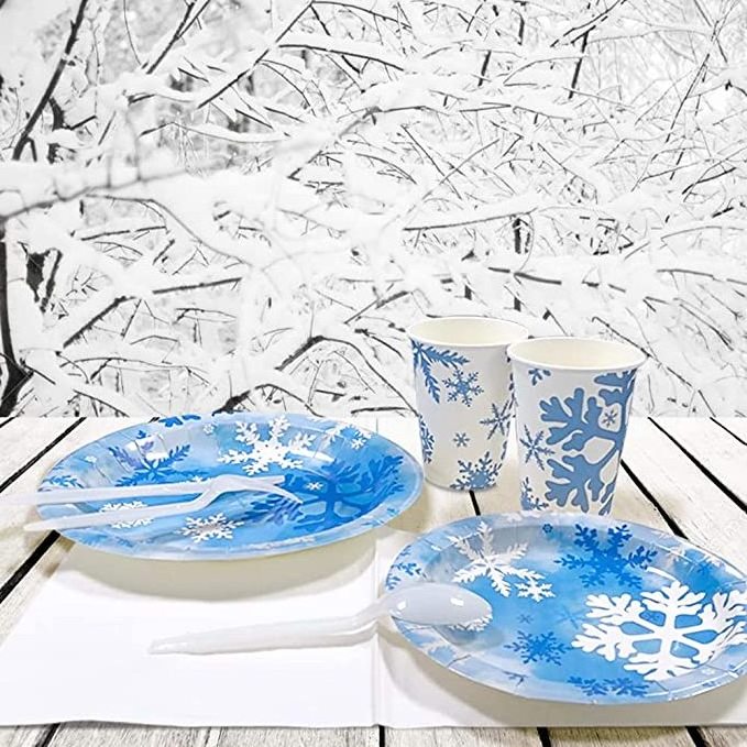 Winter Wonderland Princess Onederland Plates Cups Napkins frozen birthday party supplies Snowflake Decorations