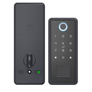 Eiysie Automatic Deadbolt Ttlock App Card Keypad Smart Door Lock  Key Fingerprint Biometric smart home