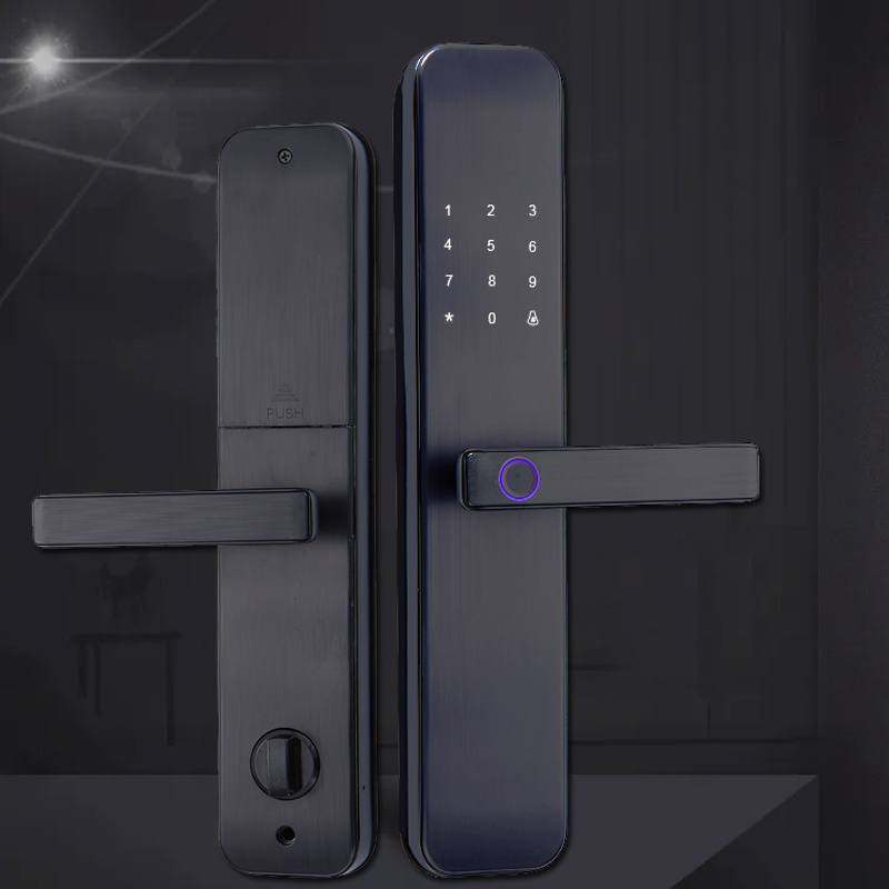 Keyless Entry System Smart Home Remote Control Tuya  WiFi Biometric Door Lock App Electronic  Door Lock