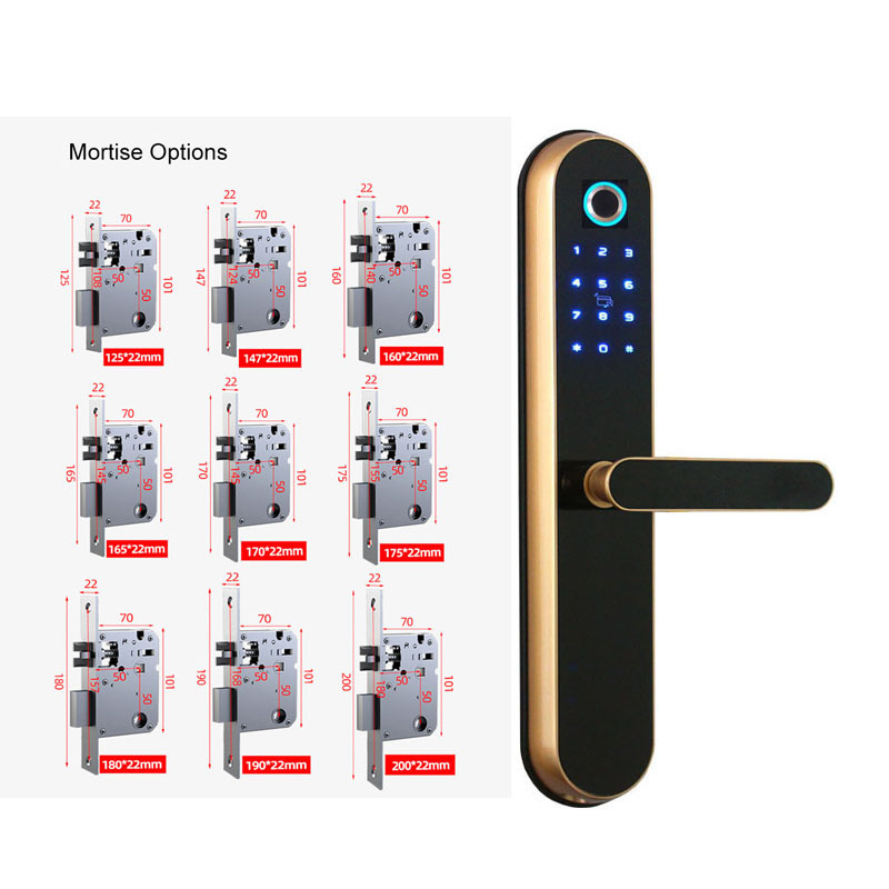 Factory Price Manufacturer Supplier Keyless Fingerprint Entry Hotel & House Smart Door Lock With Management Software System