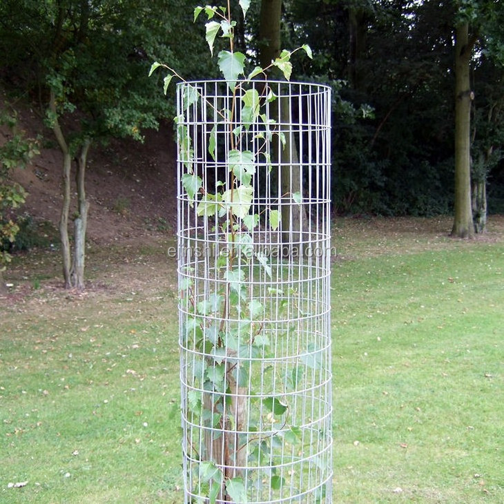 tree guard  fence