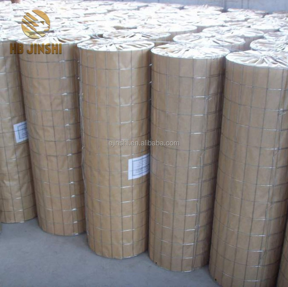 Electro galvanized welded iron wire mesh