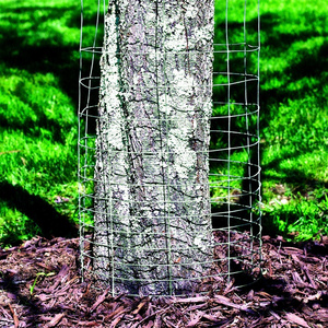 tree guard  fence