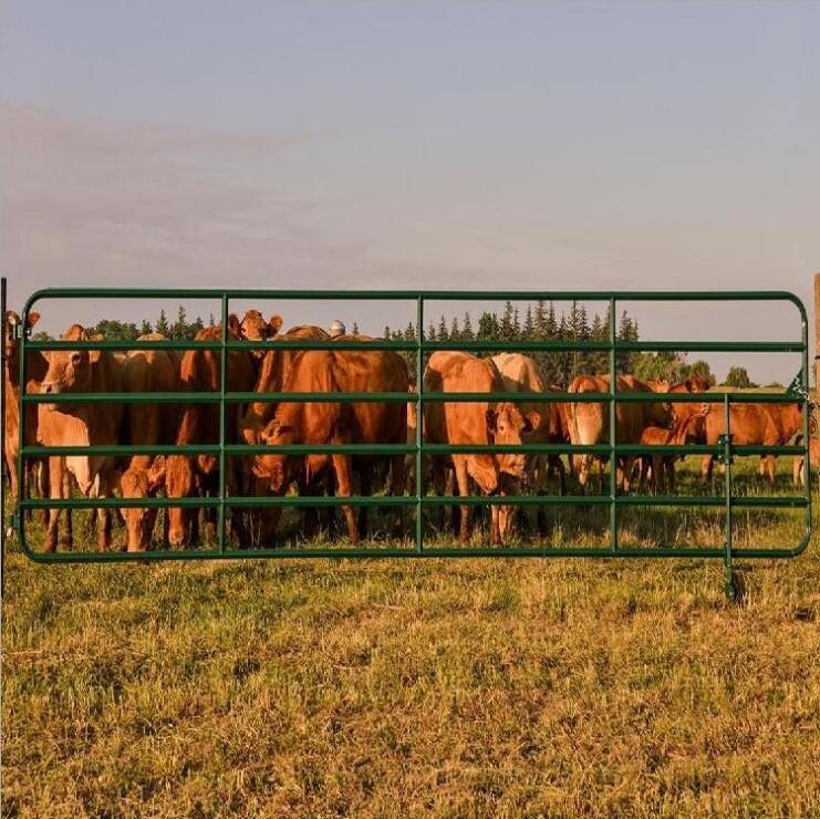 Heavy duty galvanized cattle yard horse fence panel sheep panels portable livestock panels