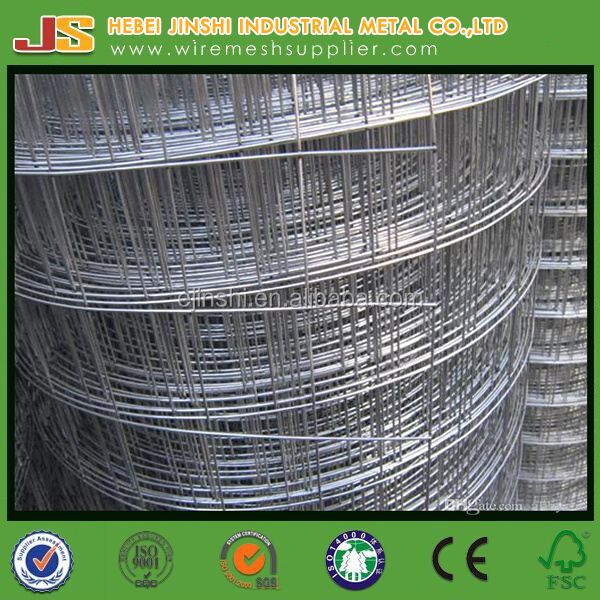 Stainless Steel Welded Wire Mesh for Sport Fence/SS Stadium Wire Mesh