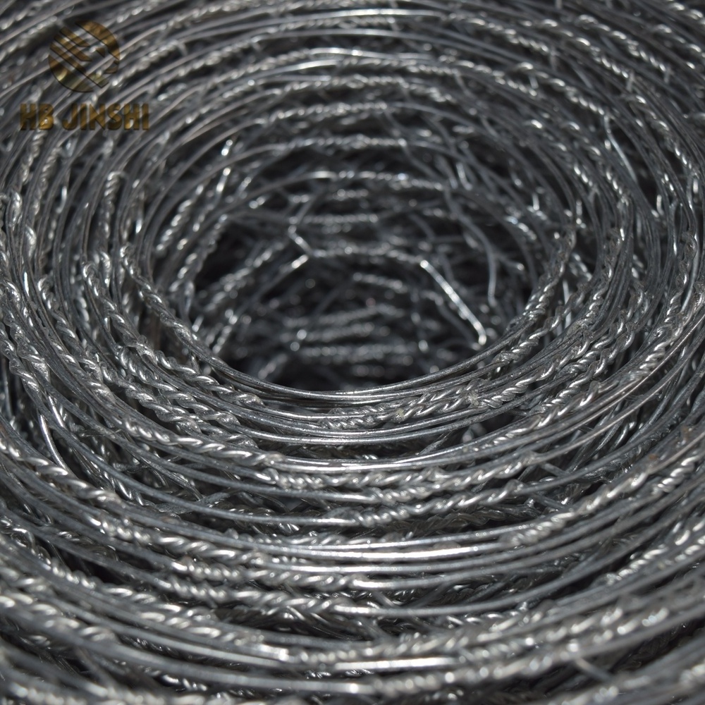 Galvanized Wire Netting with 25mm Mesh