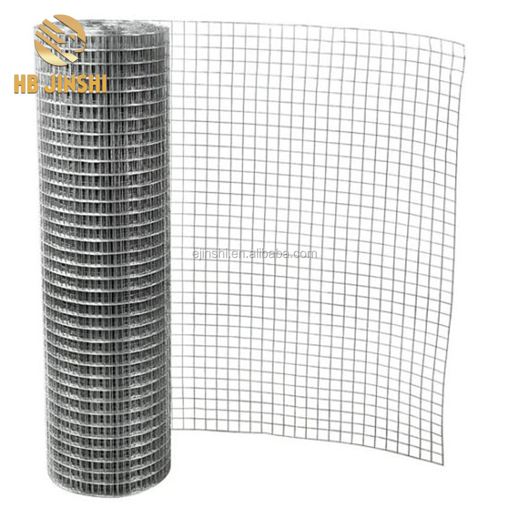 China professional galvanized welded wire mesh fence wire mesh rolls