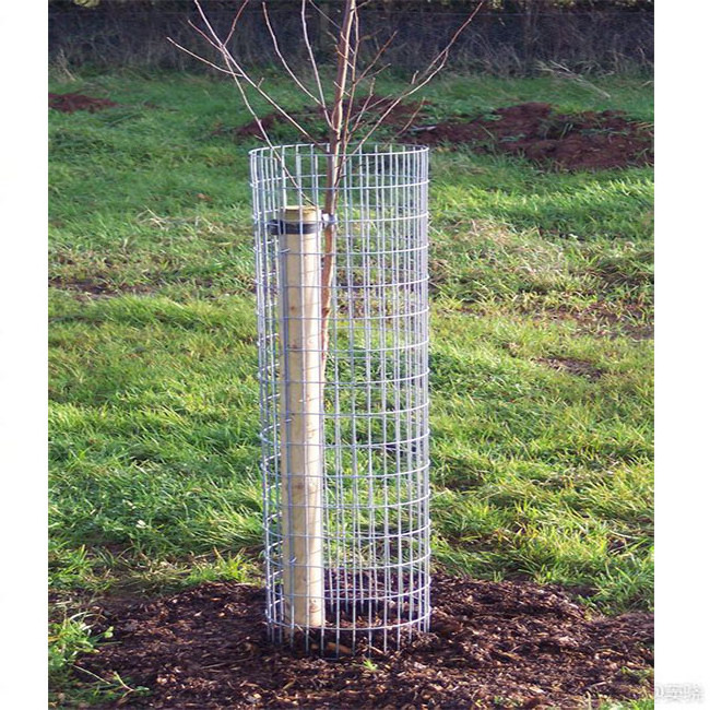 welded tree protection metal fence welded metal tree guard