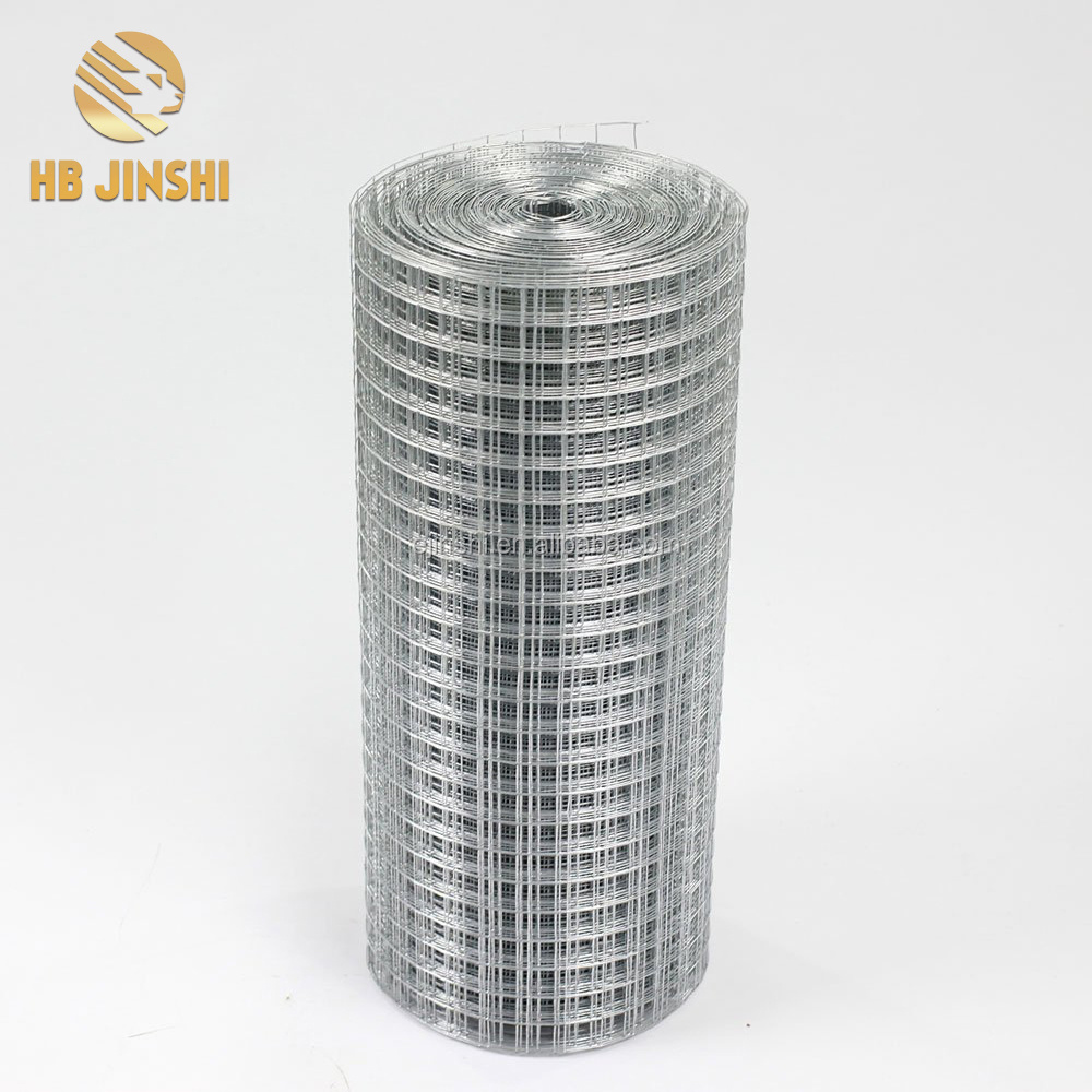 China professional galvanized welded wire mesh fence wire mesh rolls