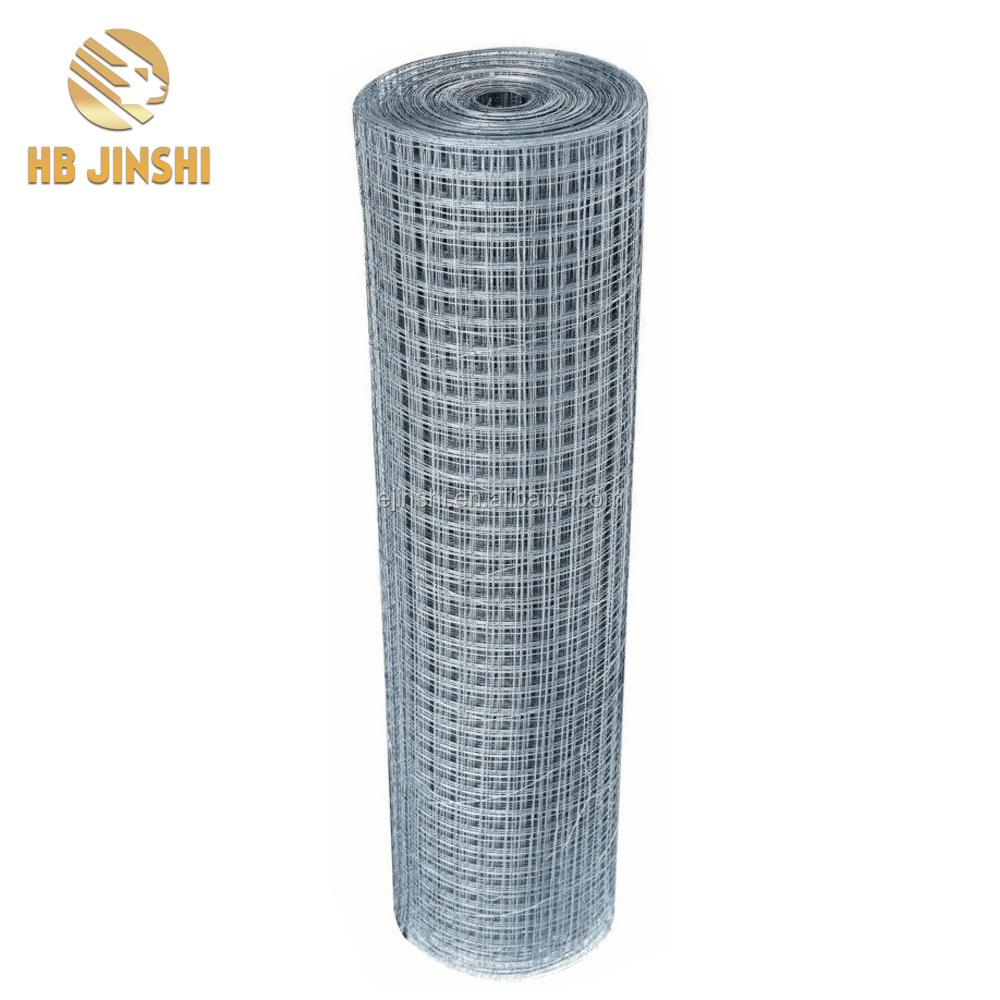 China professional galvanized welded wire mesh fence wire mesh rolls