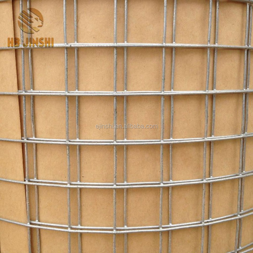 Electro galvanized welded iron wire mesh