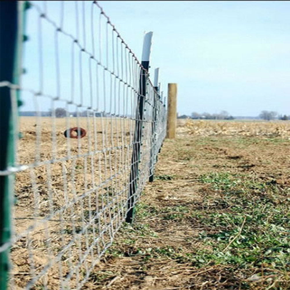 High tensile wire galvanized cattle fence farm fencing field fence made in China