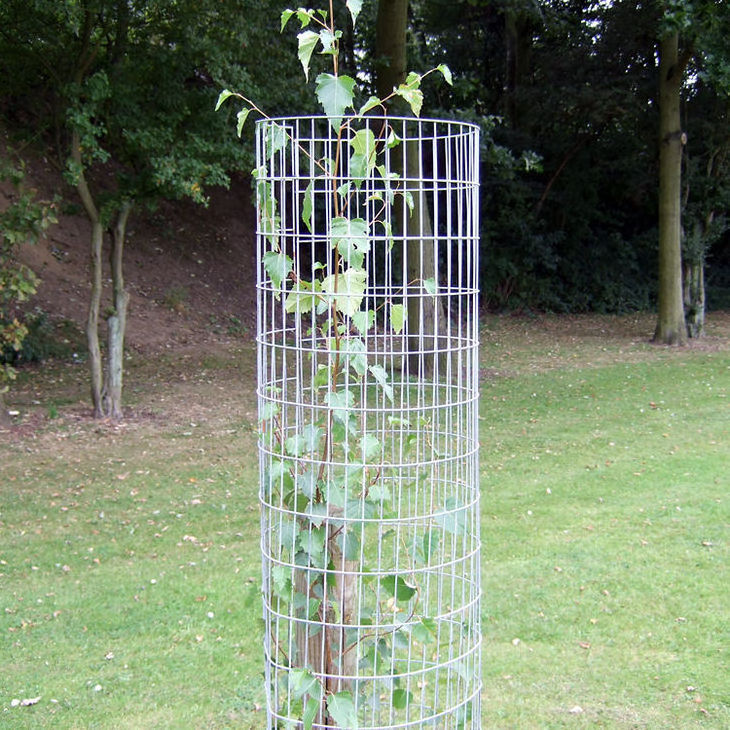 tree guard  fence