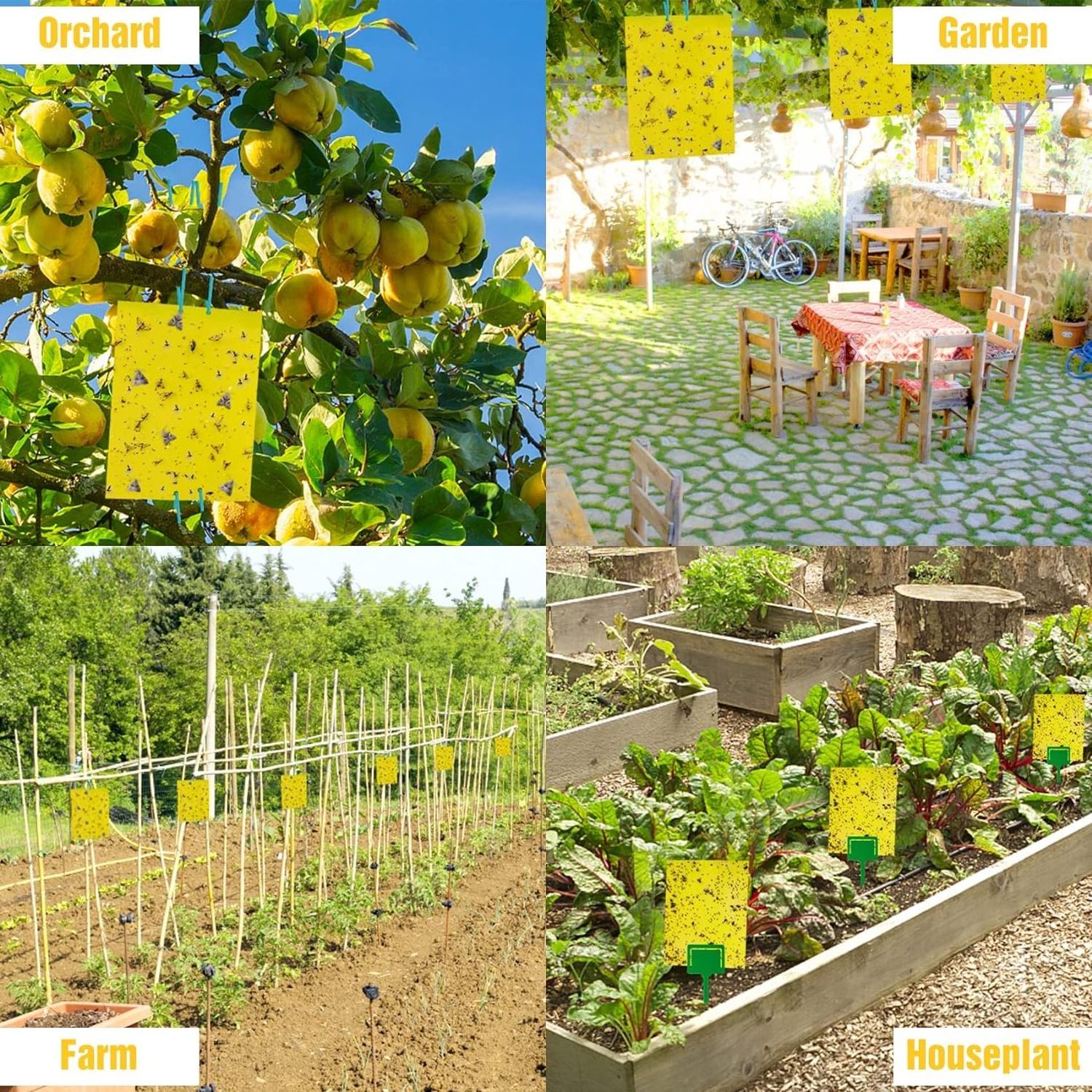 Indoor Outdoor sticky fruit fly traps Yellow sticky insect traps