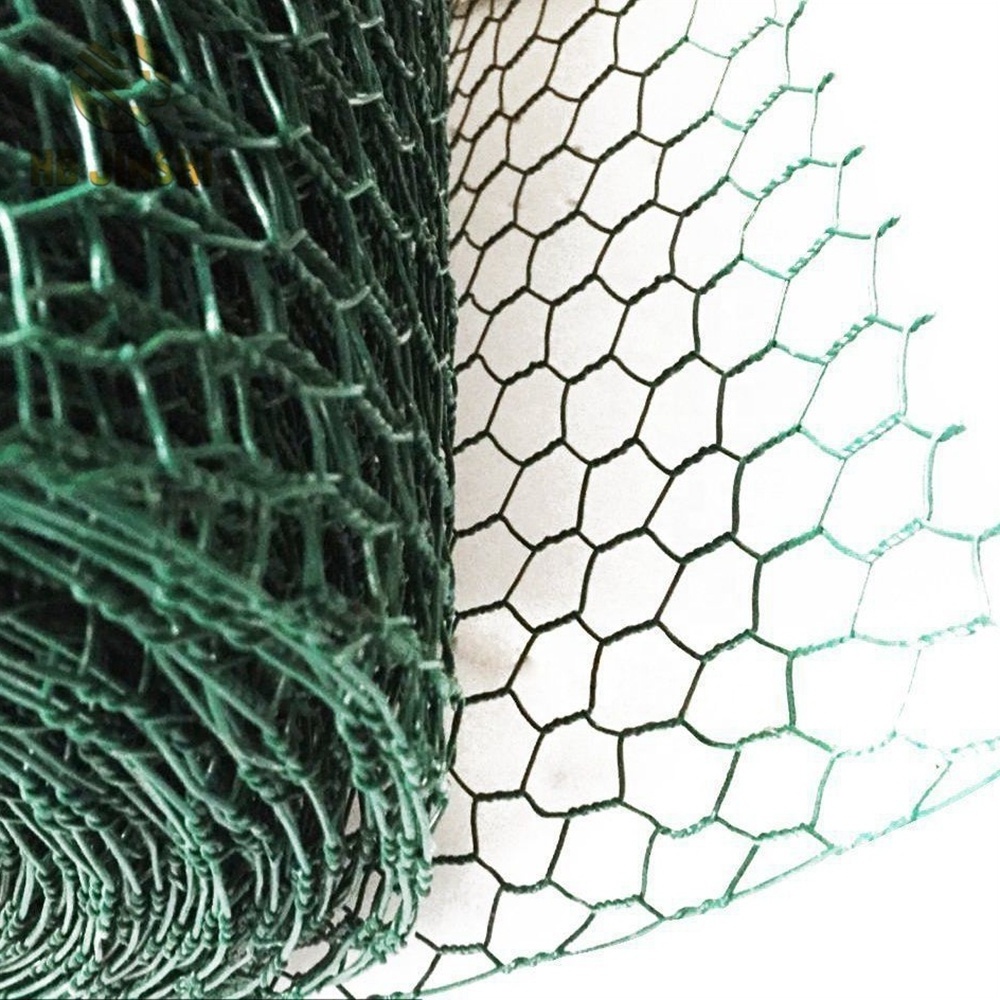 Galvanized Wire Netting with 25mm Mesh