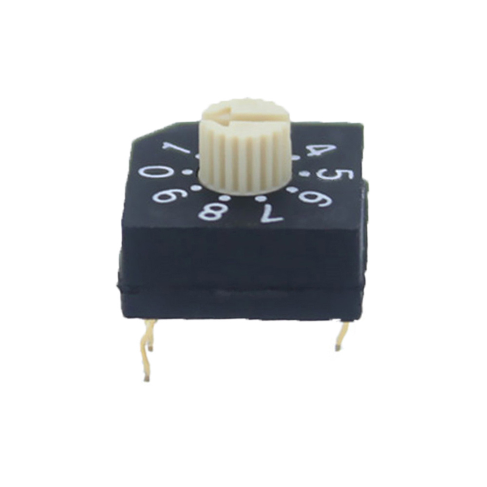 RS40010R 4+1 Pins Thru-hole Type Flat Rotor Real BCD Code 10 Position Rotary Dip Switch