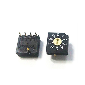 RS40010R 4+1 Pins Thru-hole Type Flat Rotor Real BCD Code 10 Position Rotary Dip Switch