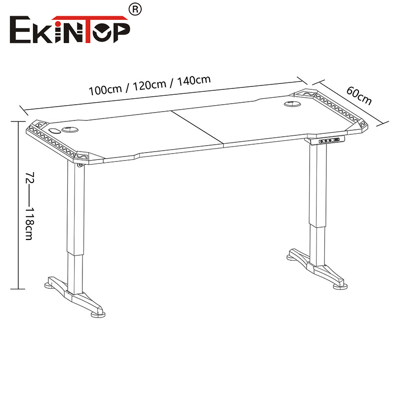 Ekintop Electric Height Home Computer Lifting Gaming Desk Height Adjustable Electric Standing Desk