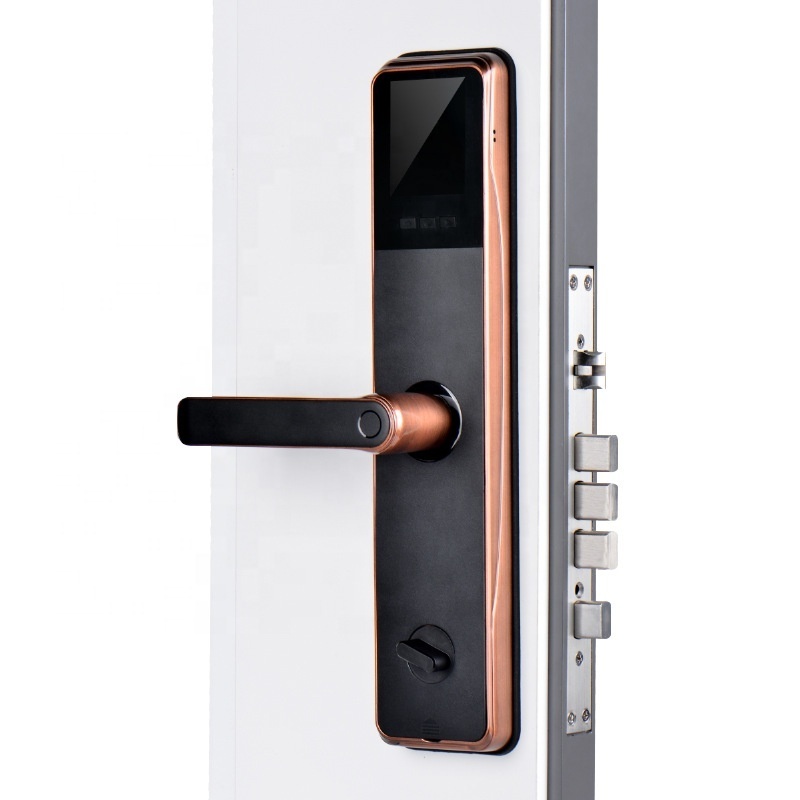 Smart lock Surveillance camera visual anti theft intelligent door lock wood door smart lock