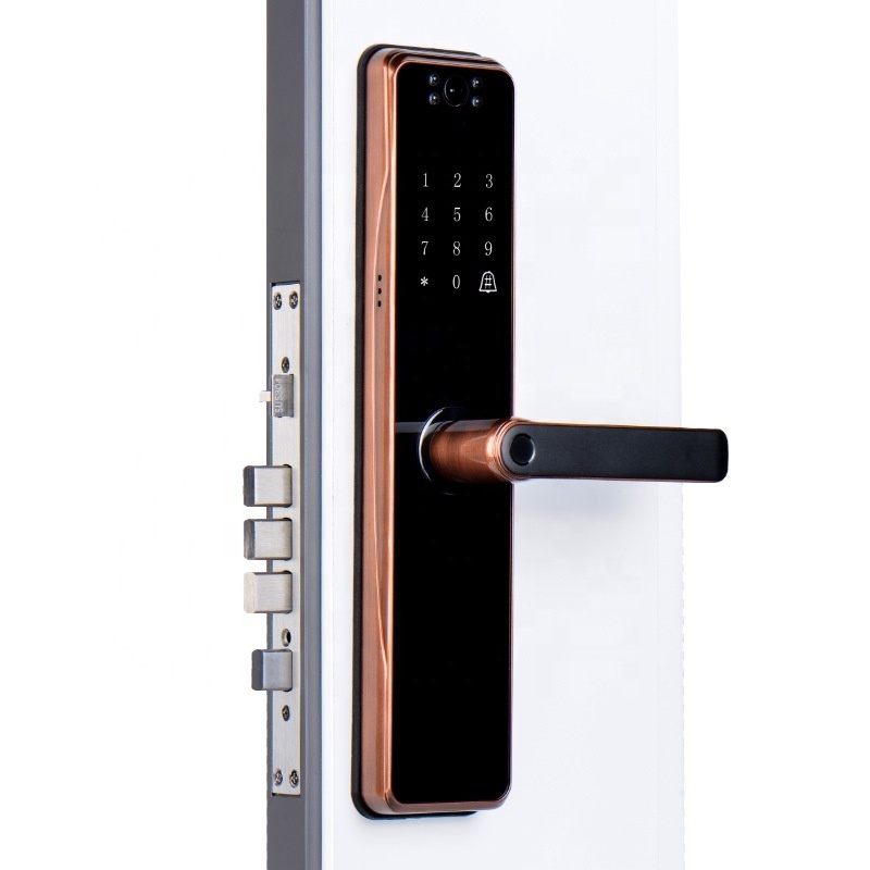 Smart lock Surveillance camera visual anti theft intelligent door lock wood door smart lock