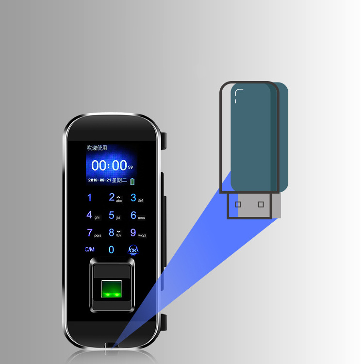 Cheap Price Office  Security Remote Control Digital Keyless Biometric Fingerprint Glass lock sliding door smart lock