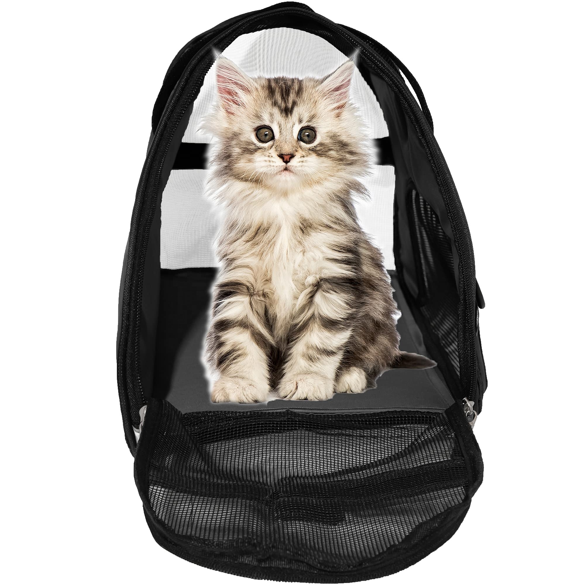 Factory Direct Sell Pet Carrier Soft-Sided Carriers for Small Medium Cats Dogs Puppies