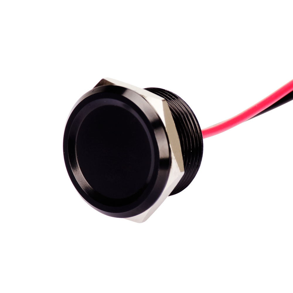 Anti Vandal 19 mm Aluminum Anodized Black  piezo ip68 Switch Push Button