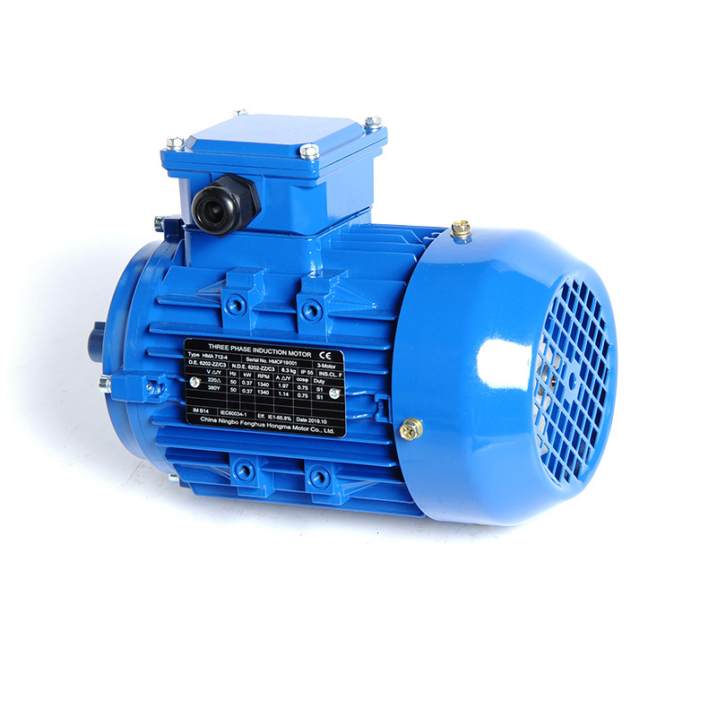 Universal  ACIM IM OBM ODM OEM Fan EV Car Pump ac Self raking Three Phase Asynchronous Textile Industry Induction electric Motor