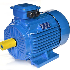 40kw 50kw 80 kw 100kw 120kw 150 kw 200kw 250kw 300kw TFEC Totally Enclosed Three 3 Phase 220V Ac Induction Electric Motor